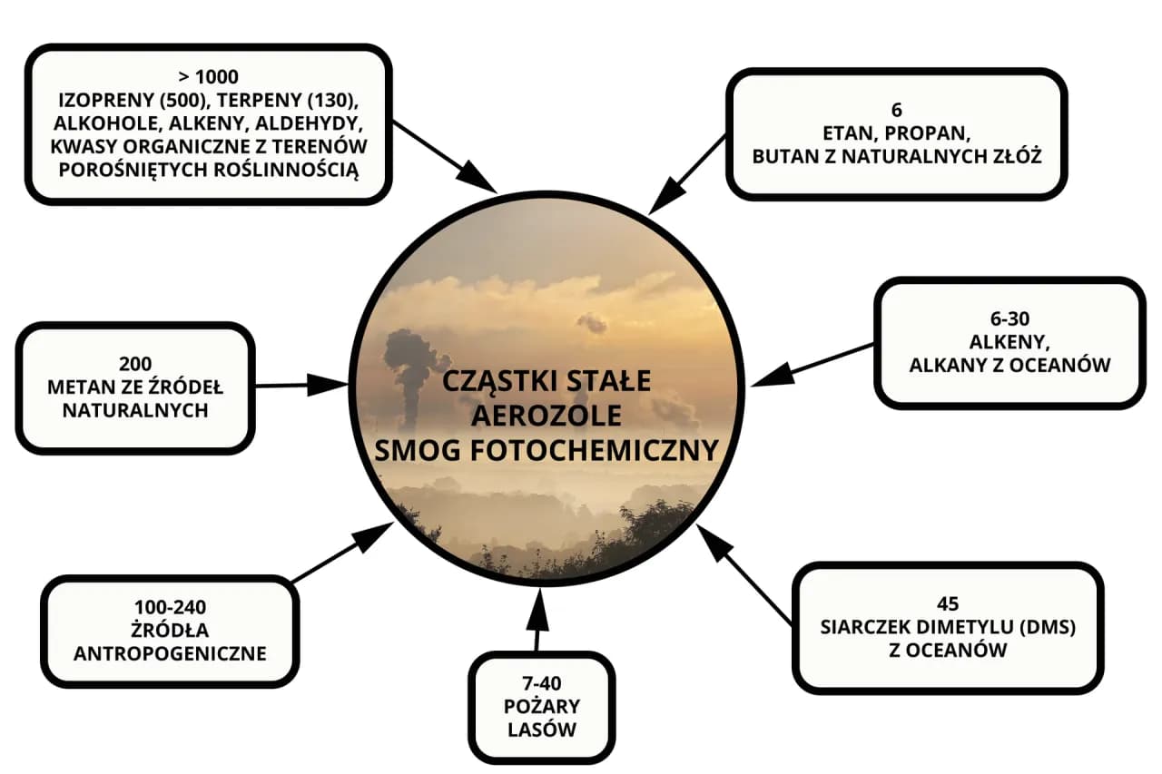 Jak powstaje smog schemat - zrozum proces i uniknij zagrożeń