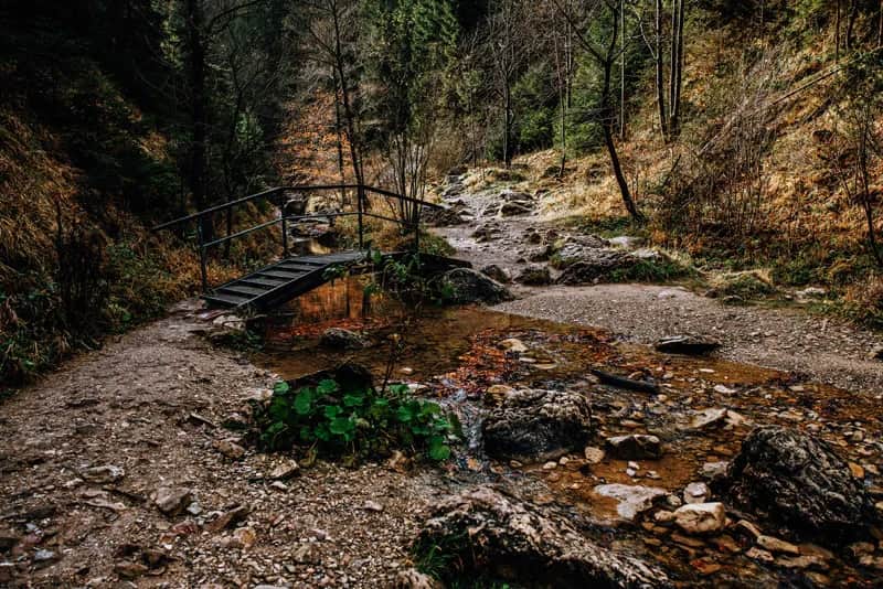 Rezerwat przyrody Wąwóz Homole – niezwykłe zdjęcia i widoki, które zachwycają