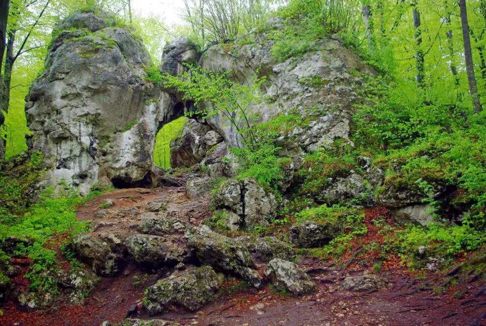 Rezerwat przyrody Parkowe - odkryj jego unikalne piękno i atrakcje