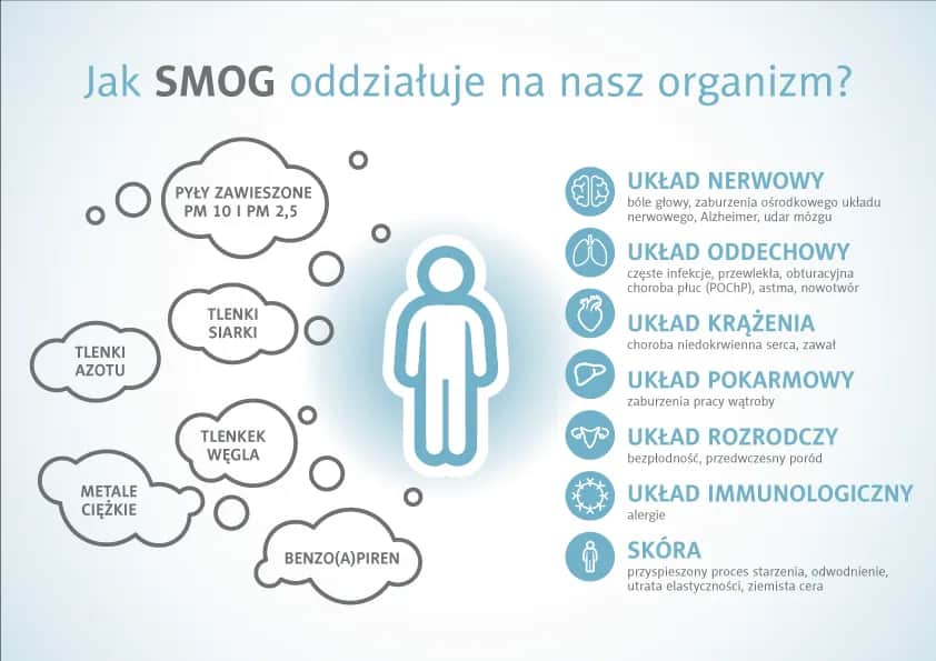 Z czego składa się smog i jak wpływa na nasze zdrowie?