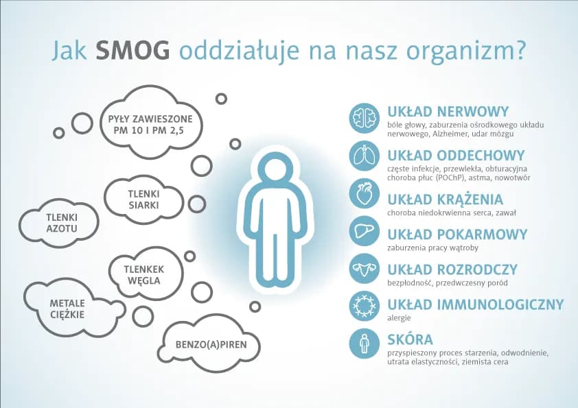 Z czego składa się smog i jak wpływa na nasze zdrowie?