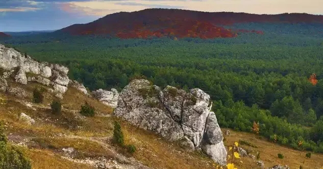 Rezerwaty przyrody na Śląsku: odkryj unikalne miejsca do odwiedzenia
