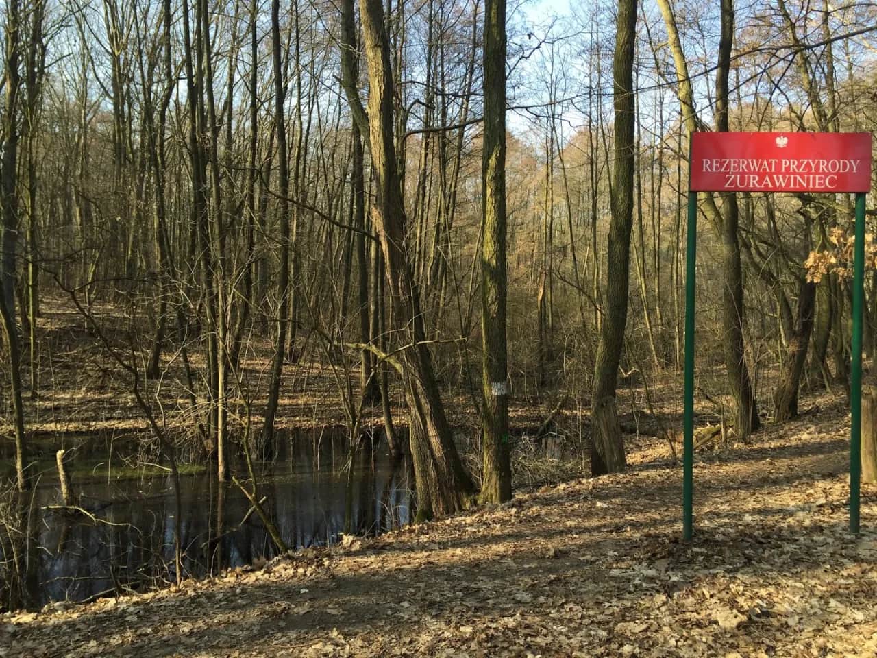 Rezerwat przyrody Żurawiniec - odkryj jego unikalne tajemnice i atrakcje