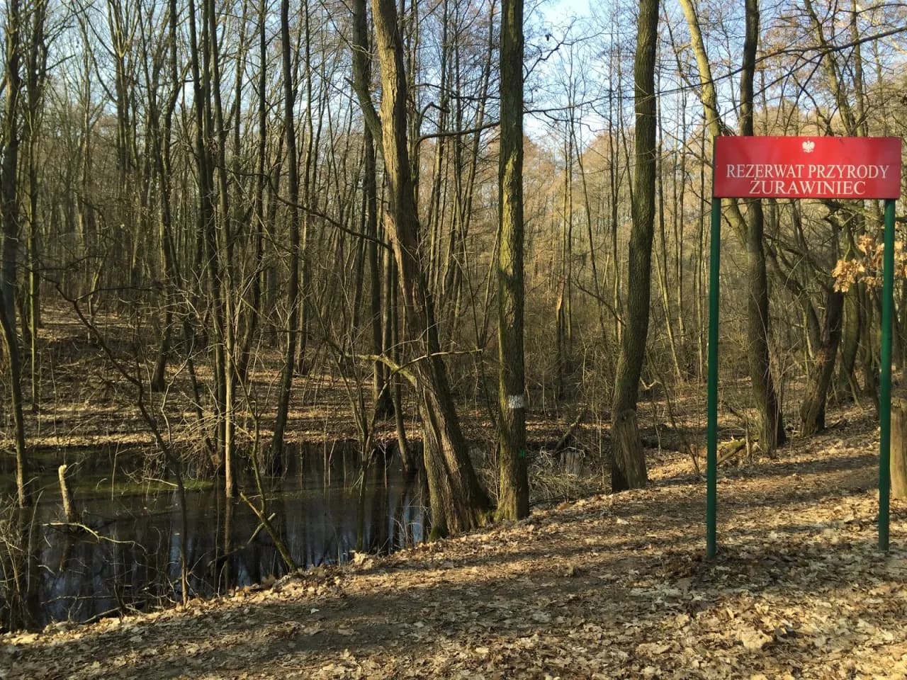 Rezerwat przyrody Żurawiniec - odkryj jego unikalne tajemnice i atrakcje