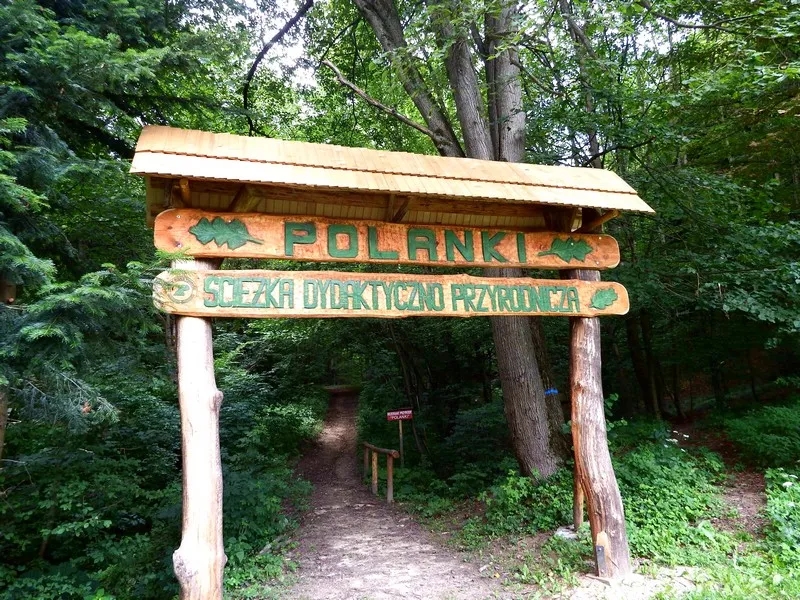 Rezerwat przyrody Polanki - odkryj wyjątkowe bogactwo natury