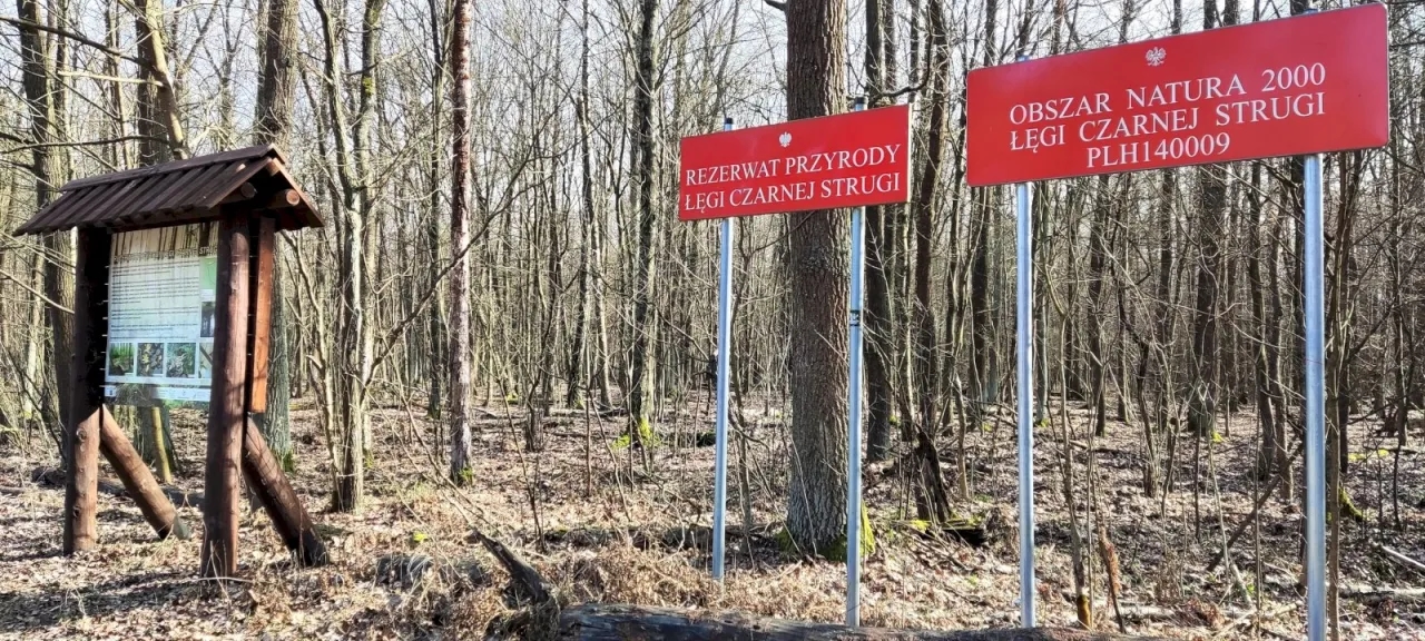 Rezerwaty przyrody w Warszawie - odkryj ukryte skarby natury