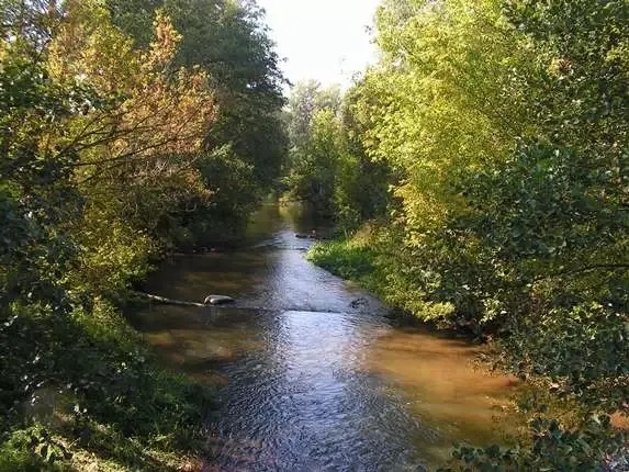 Rezerwat przyrody Świder: Odkryj unikalne piękno i zagrożenia