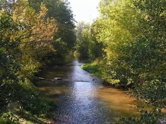 Rezerwat przyrody Świder: Odkryj unikalne piękno i zagrożenia