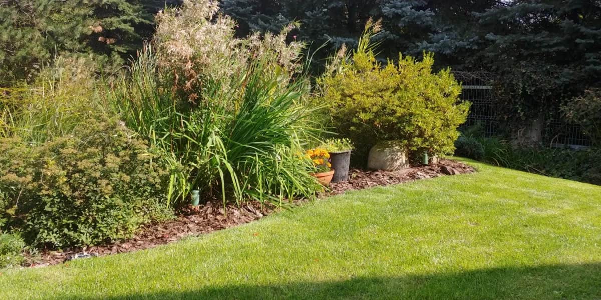 Jak ukryć przydomową oczyszczalnię ścieków i poprawić estetykę ogrodu