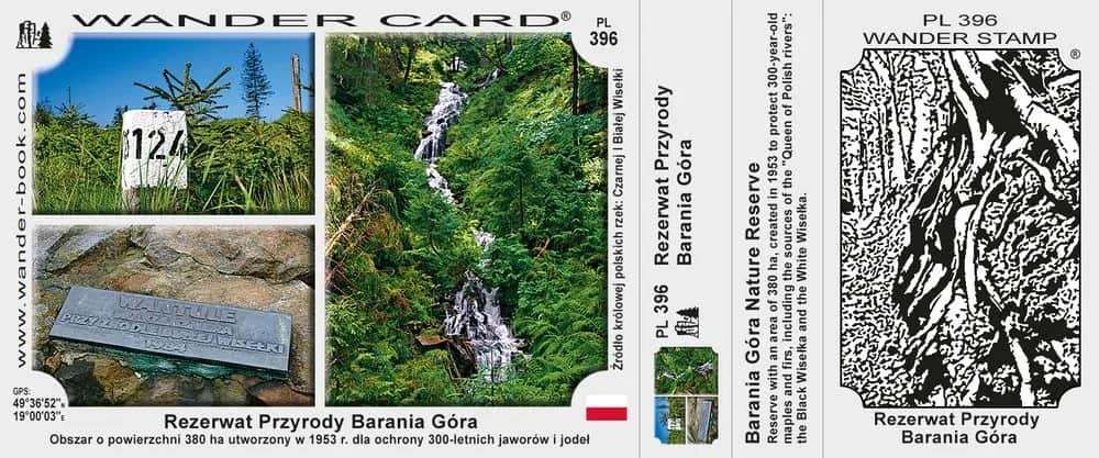 Rezerwat przyrody Barania Góra - tajemnice natury i szlaki do odkrycia