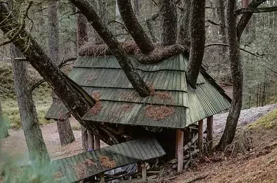 Rezerwat przyrody Widowo – odkryj niezwykłe piękno natury i rzadkie gatunki