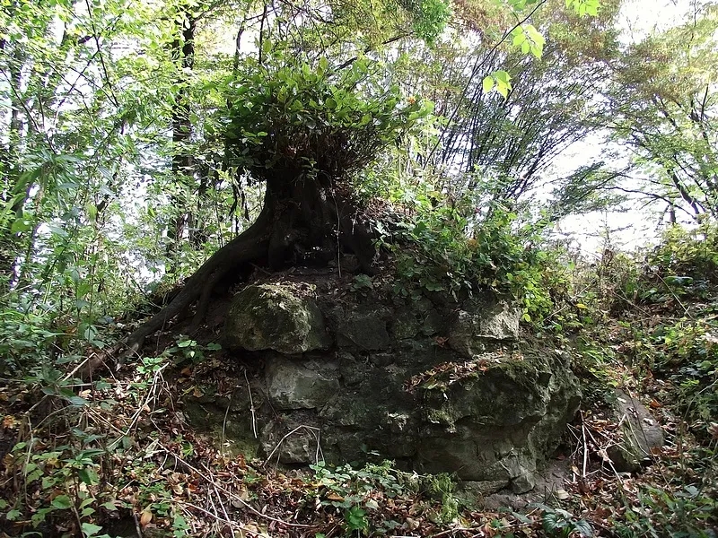 Rezerwat przyrody Golesz - fascynujące formacje i bogata fauna