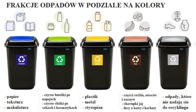 Gdzie wyrzucić kubek po jogurcie? Uniknij błędów w recyklingu