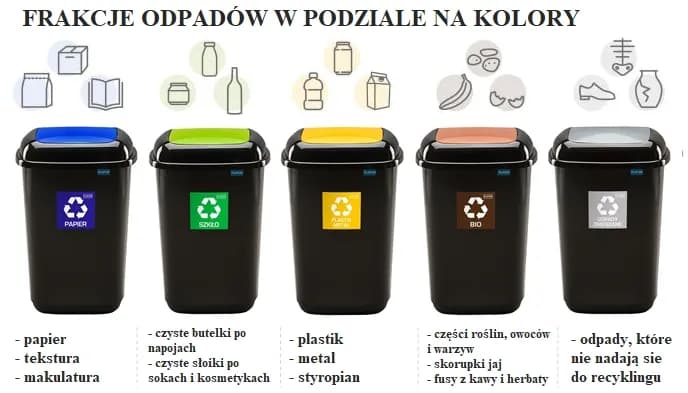 Gdzie wyrzucić kubek po jogurcie? Uniknij błędów w recyklingu