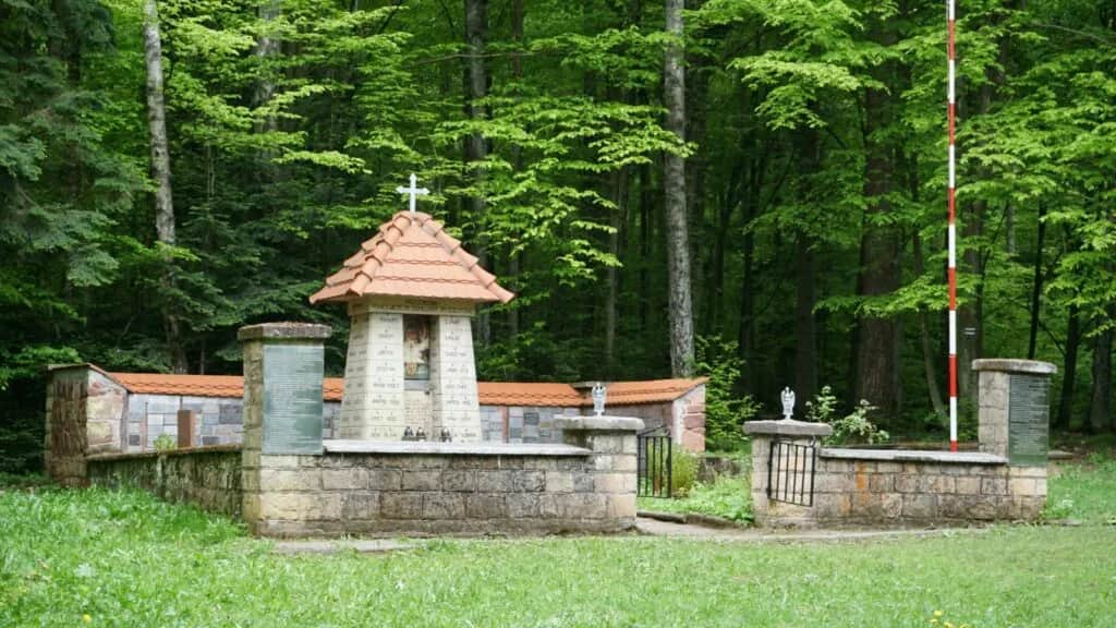 Rezerwat przyrody Wykus: piękno natury i historia partyzancka