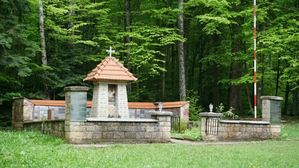 Rezerwat przyrody Wykus: piękno natury i historia partyzancka