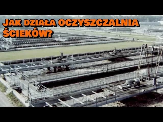 Jak działa oczyszczalnia ścieków? Film edukacyjny dla dzieci, który zaskakuje