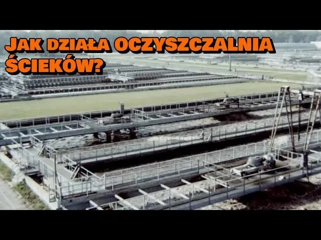 Jak działa oczyszczalnia ścieków? Film edukacyjny dla dzieci, który zaskakuje