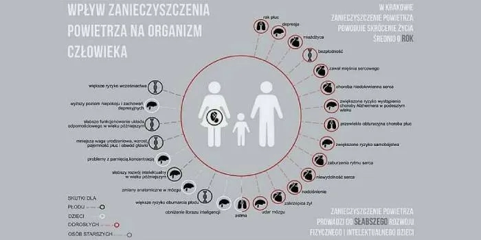 Jakie są skutki zanieczyszczeń? Szokujące efekty dla zdrowia i środowiska