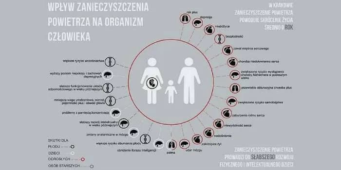 Jakie są skutki zanieczyszczeń? Szokujące efekty dla zdrowia i środowiska