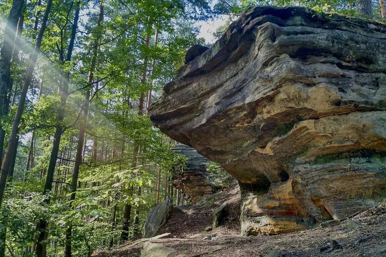 Rezerwaty przyrody w Zachodniopomorskiem: Odkryj ich unikalne piękno